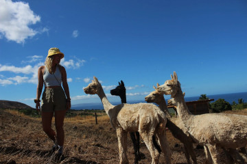 a person standing next to a horse