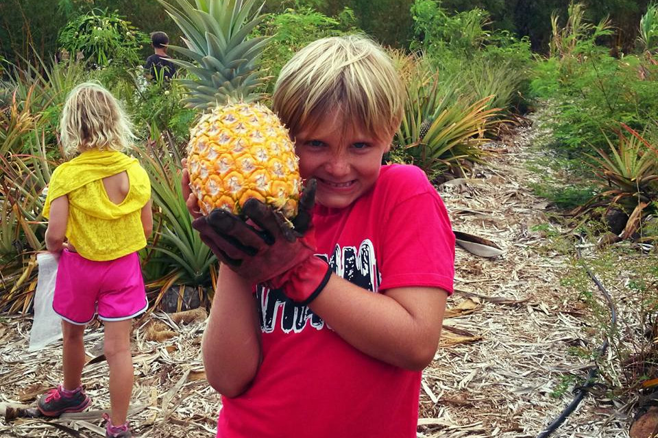 boy holding a pineapple
